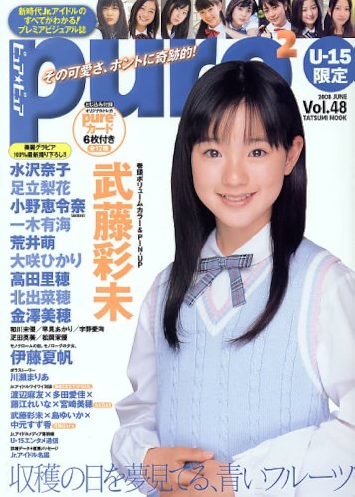 超貴重！PurePure Vol.1 ピュアピュア 辰巳出版 超貴重！PurePure Vol.1 ピュアピュア 辰巳出版